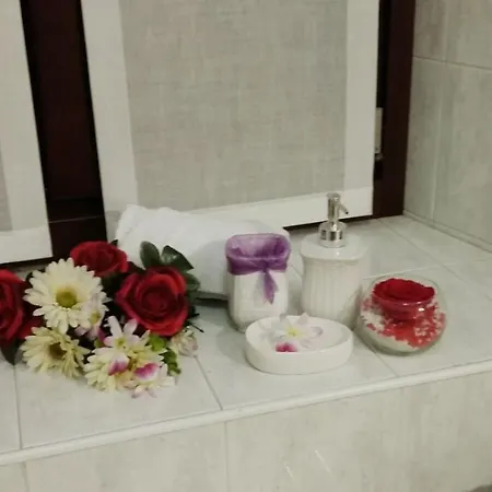 Le Muse 住宿加早餐酒店 特伦托