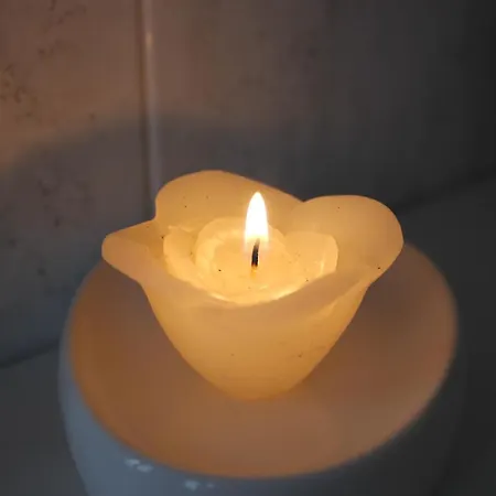 Le Muse 住宿加早餐酒店 3*