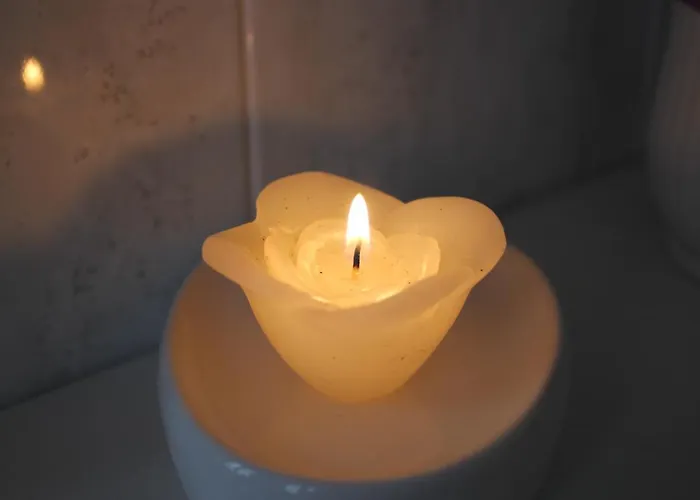 Le Muse 住宿加早餐酒店 3*